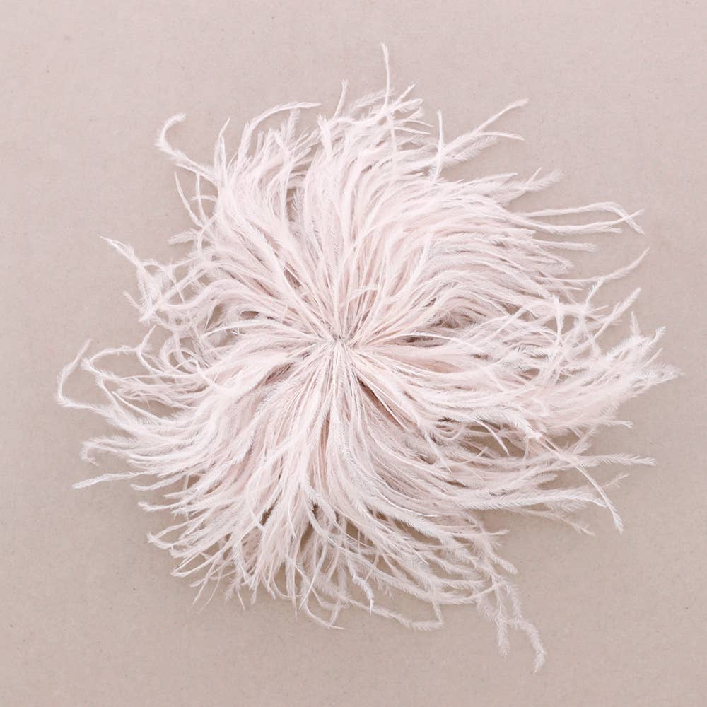 Large Feather Brooch