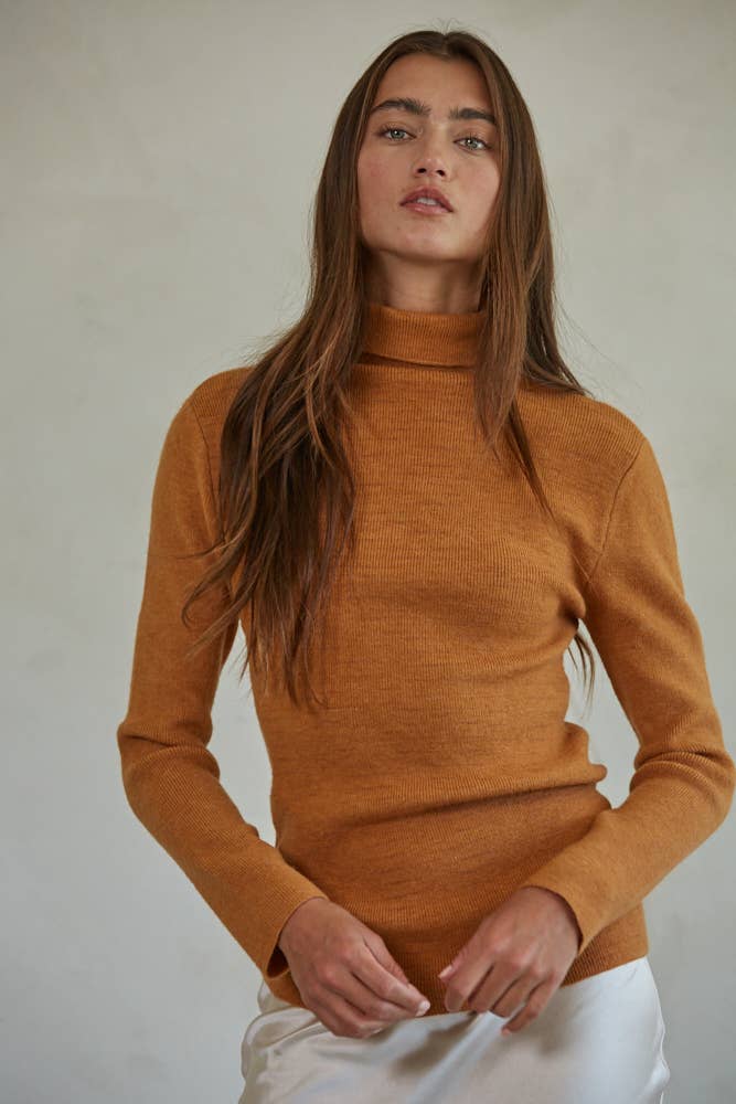Turtleneck sweater: Camel