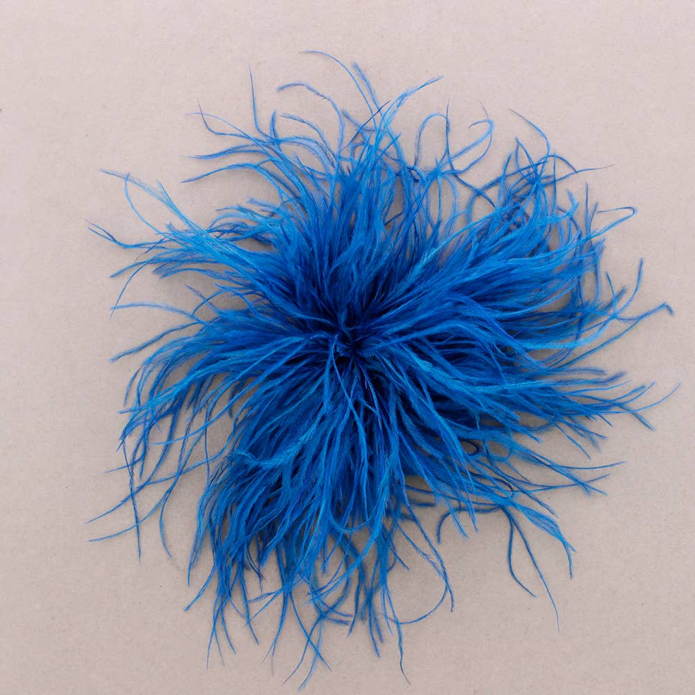Large Feather Brooch