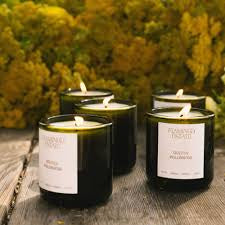 Flamingo Estate Golden Pollinator Candle