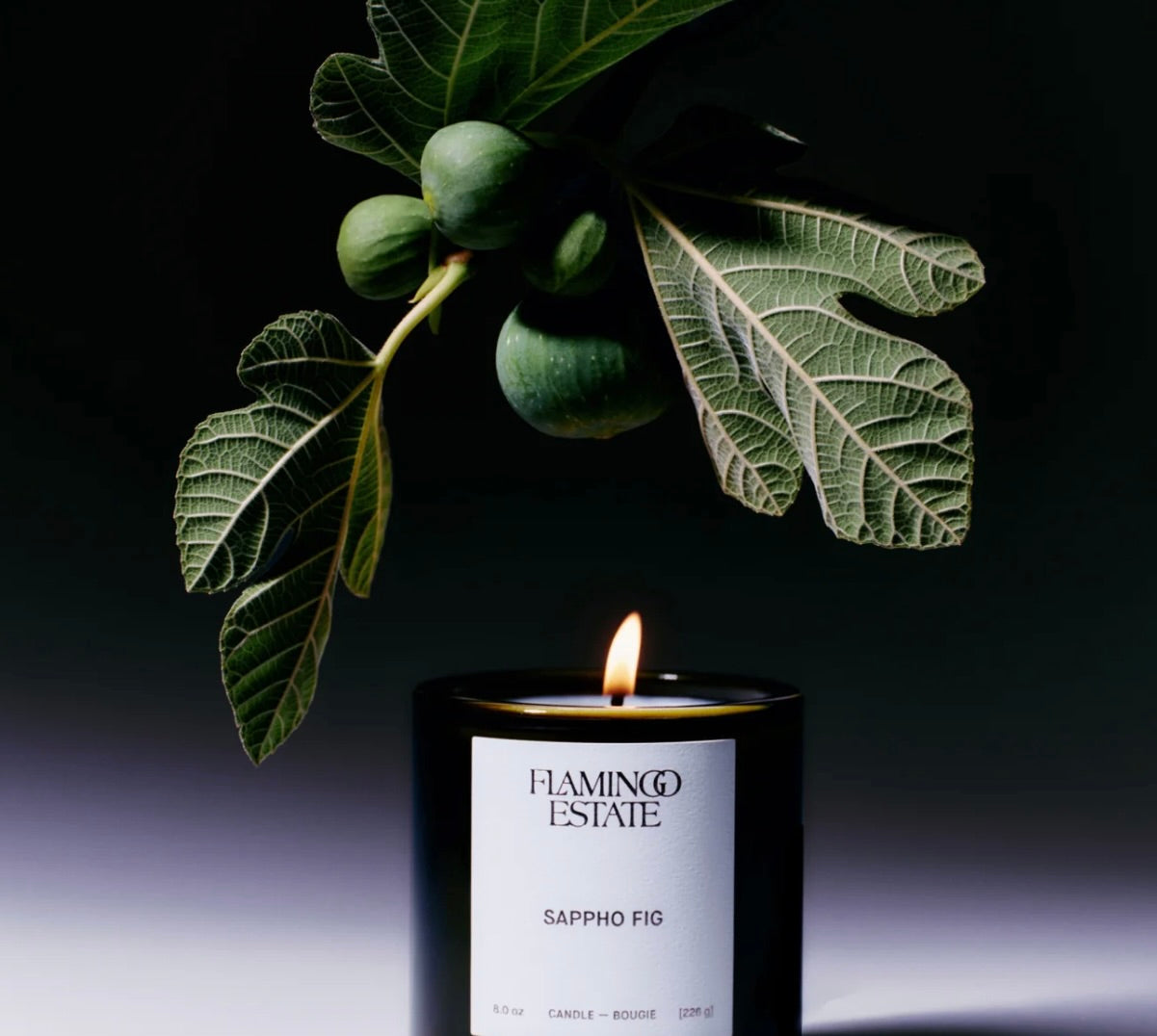 FLAMINGO ESTATE SAPPHO FIG CANDLE