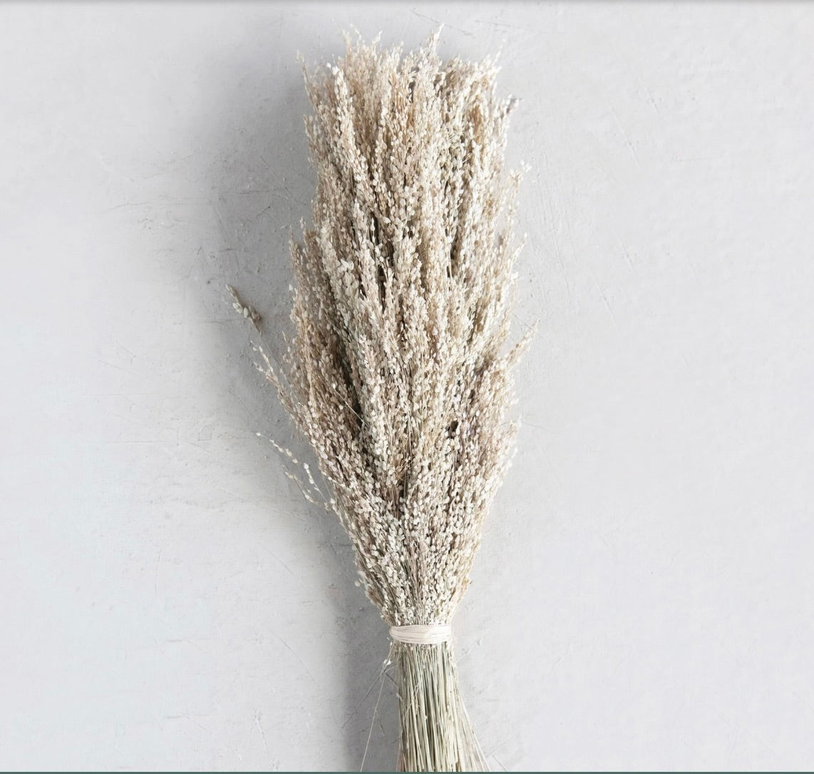 Dried Star grass bunch