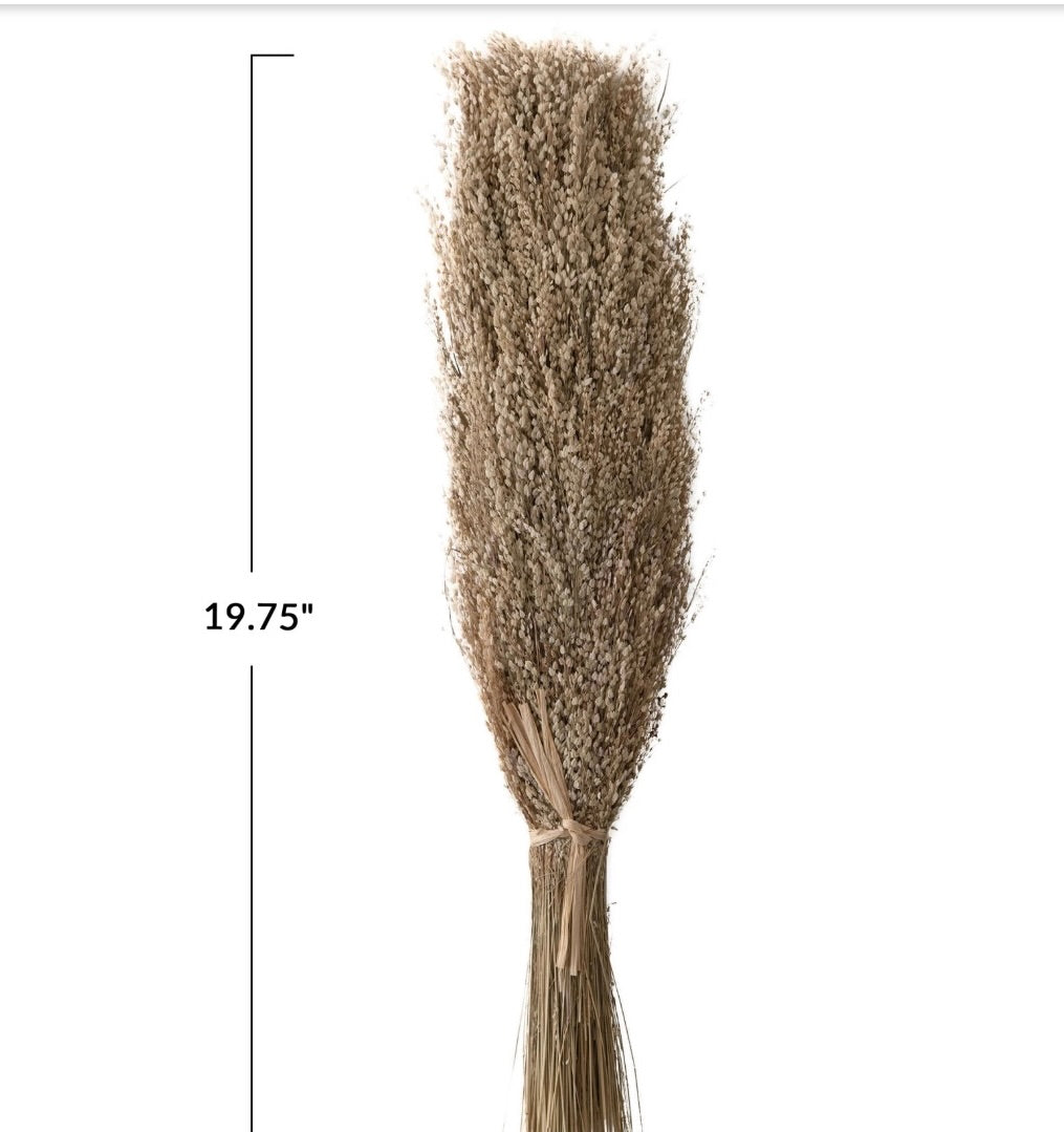 Dried Star grass bunch