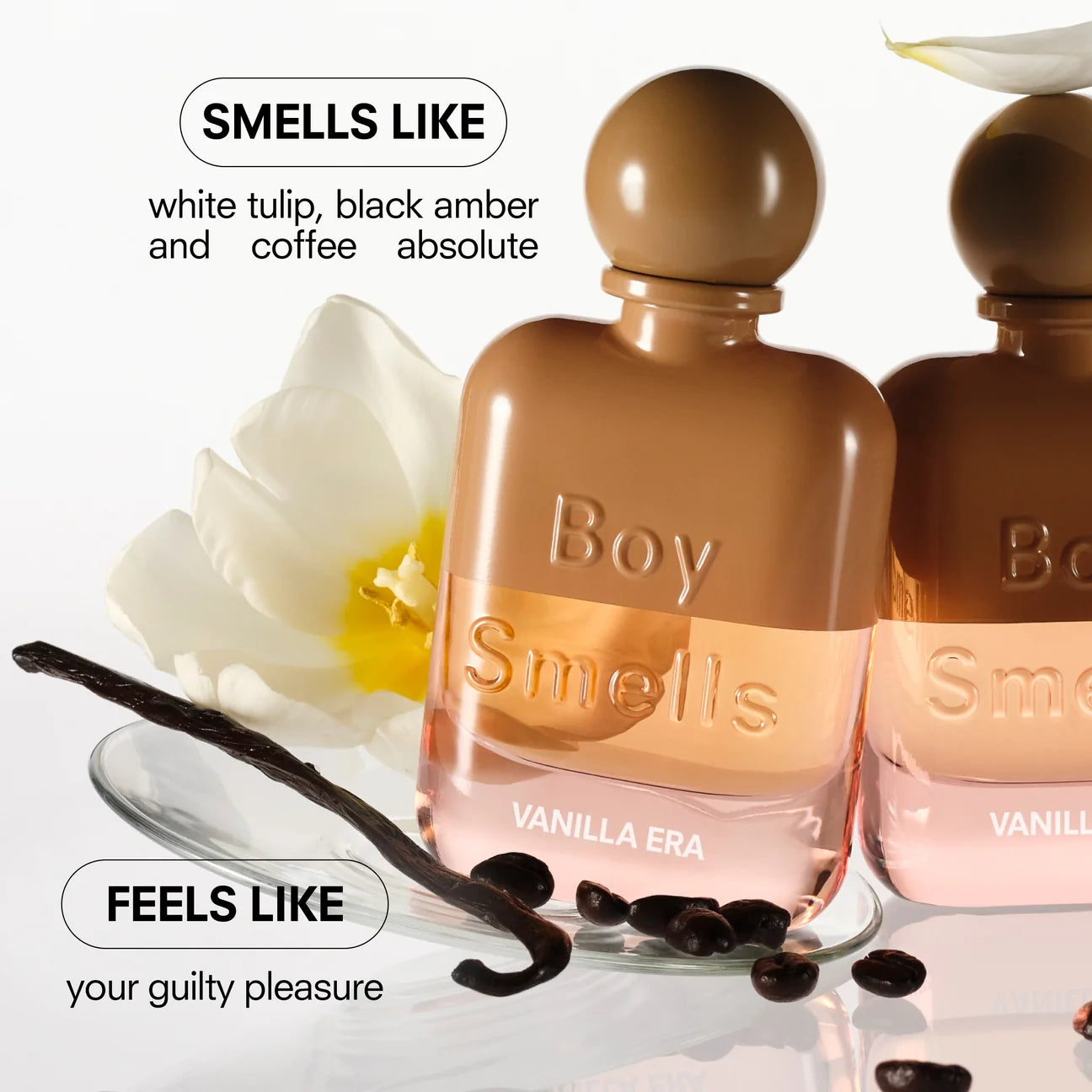 BOY SMELLS VANILLA ERA 50 ML FRAGRANCE